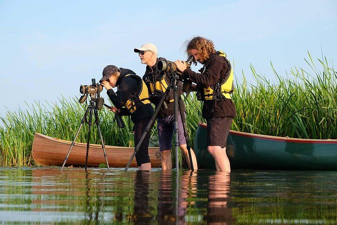 BIRDWATCH - Premium guided canoe tour at Cape Vente, Nemunas Delta Regional Park - An In-Depth Look at the Canoe Birdwatching Tour