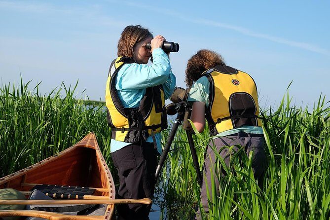 BIRDWATCH - Premium guided canoe tour at Cape Vente, Nemunas Delta Regional Park - Beyond the Experience: Analyzing the Value