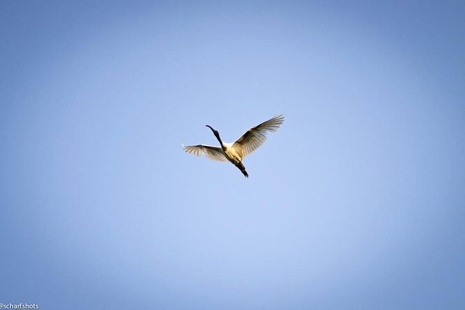 Birdwatching and Nature Walk of South Goa - Key Points