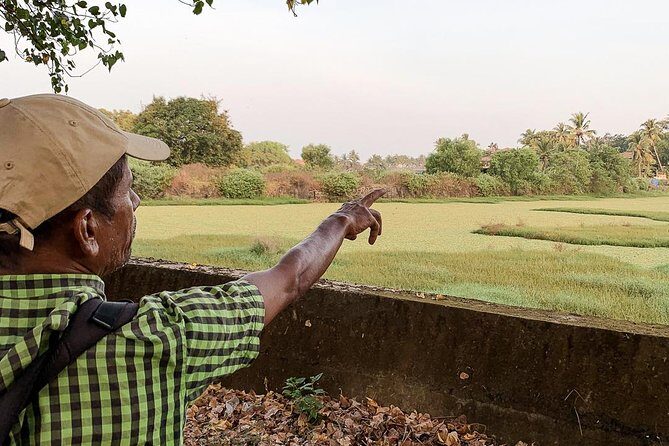Birdwatching and Nature Walk of South Goa - Final Thoughts