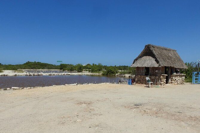 Birdwatching around Merida and coastline - Exploring the Itinerary in Detail