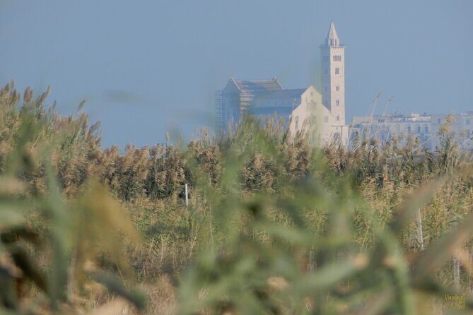 Birdwatching Boccadoro: the wildlife of the wetland - FAQ