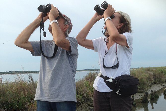 Birdwatching by boat in a small group in the Pialassa Baiona - An Authentic Birdwatching Adventure