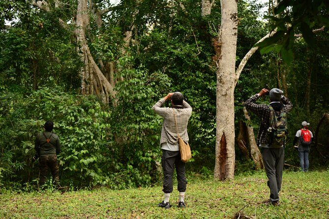 Birdwatching in Coba from Tulum - Shared Group Tour - Overview of the Tour