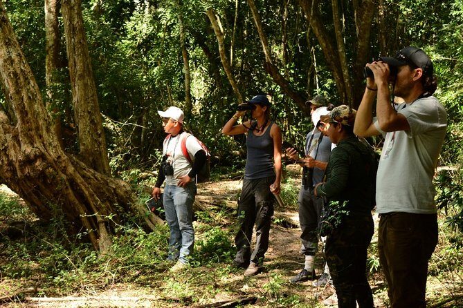 Birdwatching in Coba from Tulum - Shared Group Tour - Authentic Encounters and Authenticity