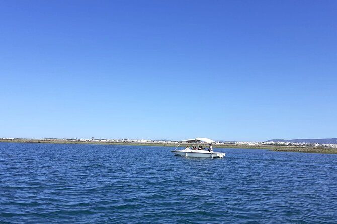 Birdwatching in Ria Formosa - Eco Boat Tour from Faro - An In-Depth Look at the Tour