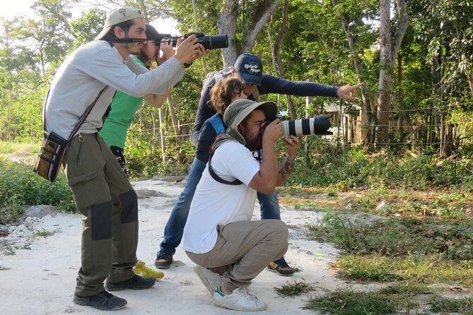Birdwatching Sian Ka'an Biosphere Reserve - Who Is This Tour Best Suited For?
