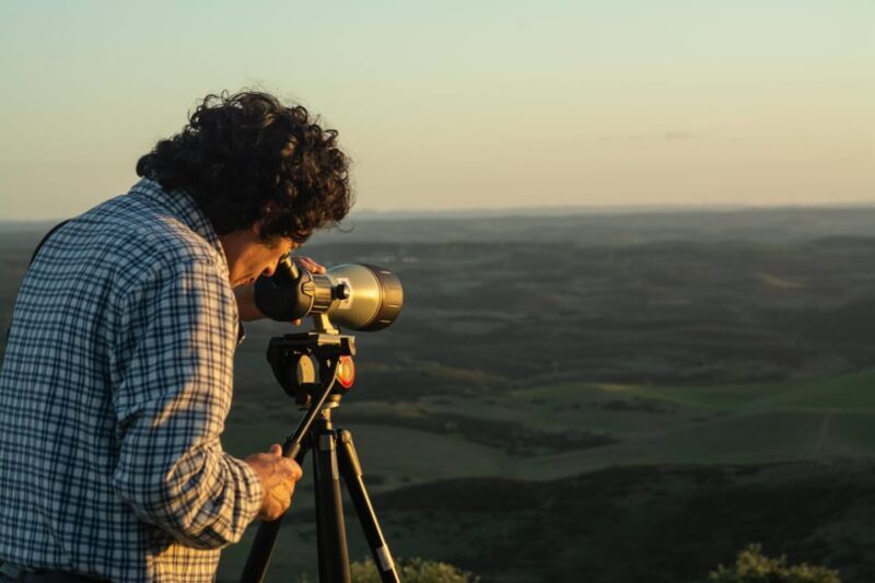 Birdwatching tour in Mértola and Castro Verde region - Key Points