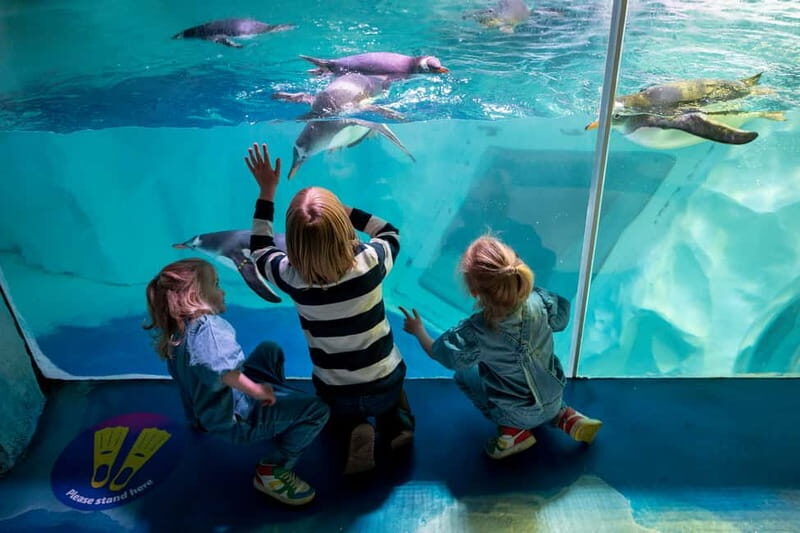 Birmingham: National Sea Life Centre Entrance Ticket - Who Should Visit?