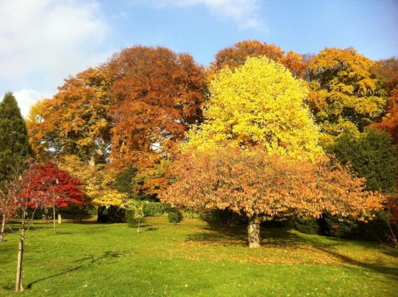 Birmingham: Winterbourne House and Garden Admission Ticket - Gardens: A Botanical Paradise