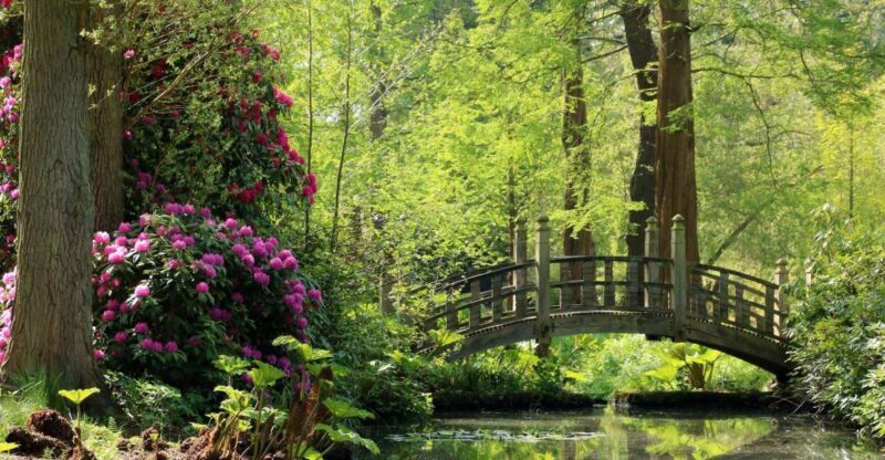 Birmingham: Winterbourne House and Garden Admission Ticket - Practical Details: What You Need to Know