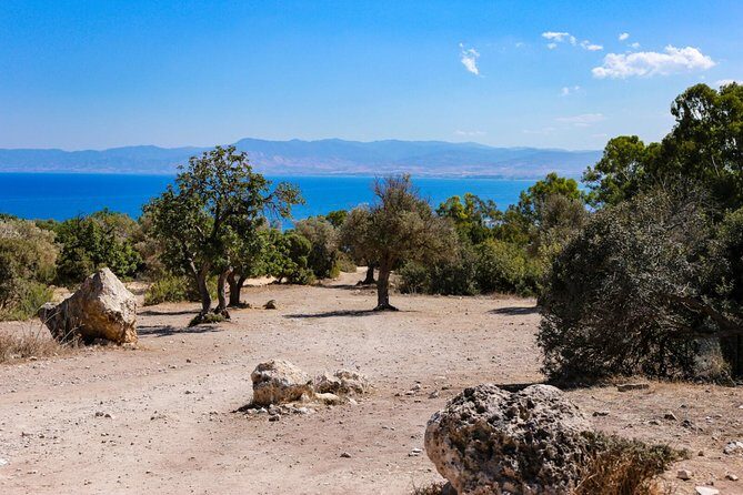 Birthplace of Aphrodite & Blue Lagoon Boat Trip from Limassol - Final Words