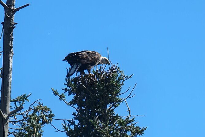 Bison Highway Road Tour - Pricing and Overall Value