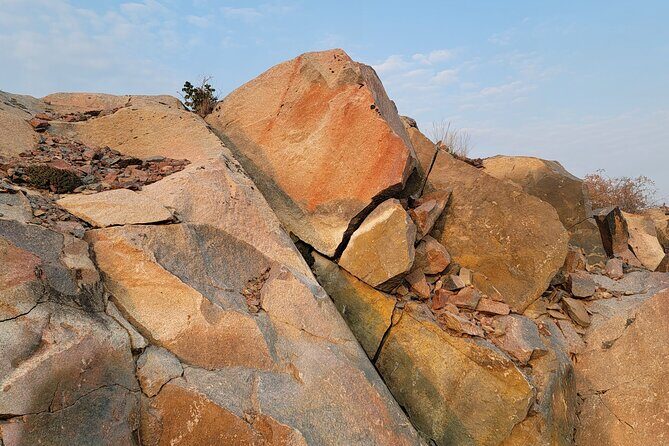 Bison Highway Road Tour - What Travelers Say: Authentic Feedback