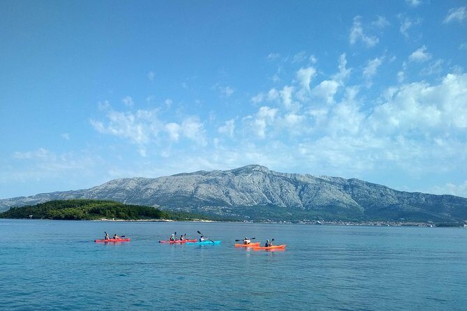 Bits of History - Half day kayak Tour with Wine delight - Who Will Love This Tour?