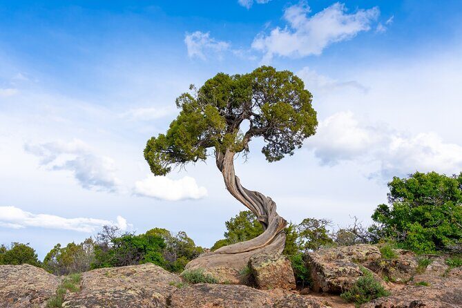 Black Canyon of the Gunnison Self-Guided Audio Driving Tour - Final Recommendation