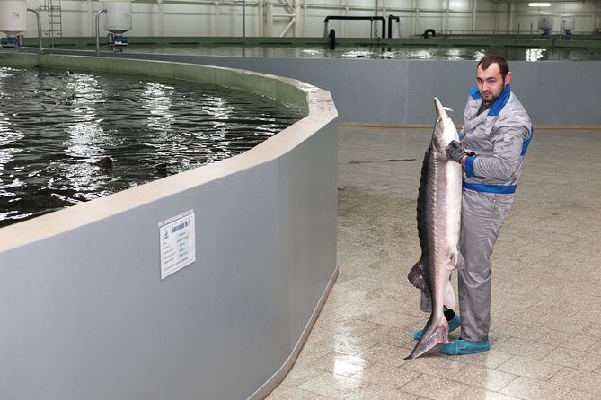 Black Caviar and Sparkling Wine Tour - FAQ: Black Caviar and Sparkling Wine Tour
