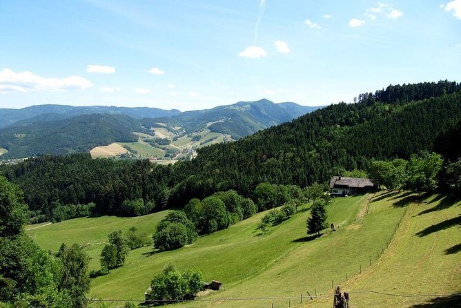 Black Forest Day Tour - The Journey Through the Black Forest: What to Expect