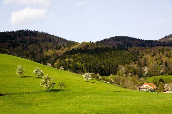 Black Forest Day Tour - Who Is This Tour Best Suited For?