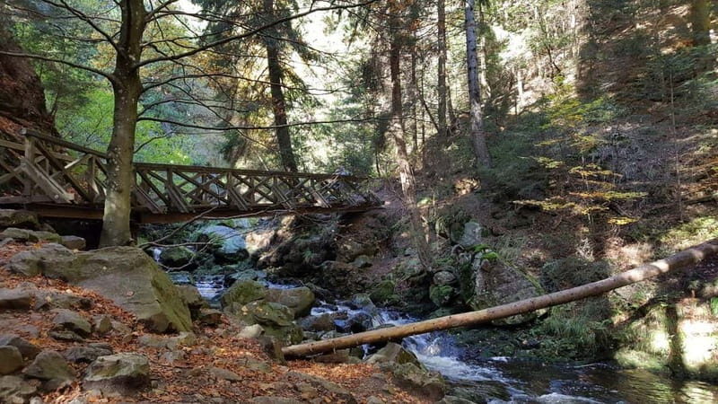 Black Forest: Ravenna Gorge Hike, Self-Guided - Exploring the Ravenna Gorge Self-Guided Hike