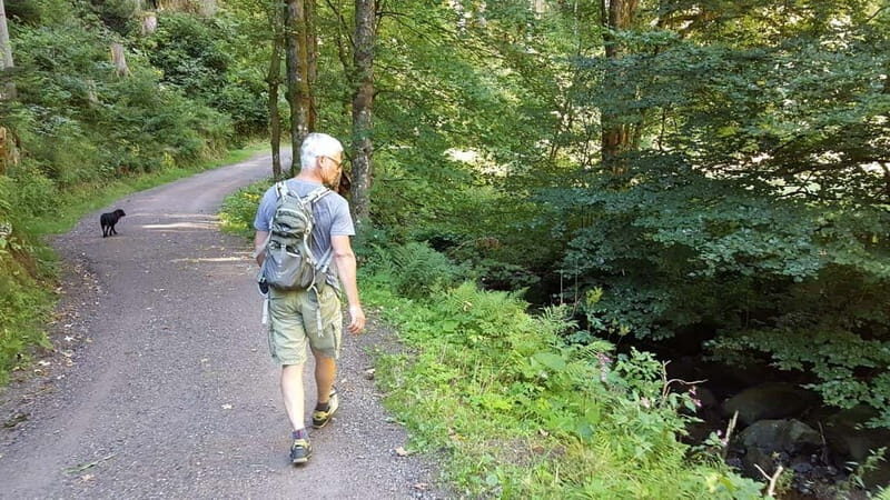 Black Forest: Ravenna Gorge Hike, Self-Guided - Practical Details and Tips