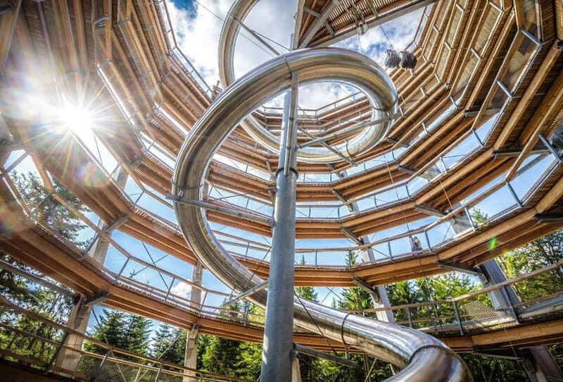 Black Forest: Treetop Walk & Lookout Tower Experience - The Sum Up