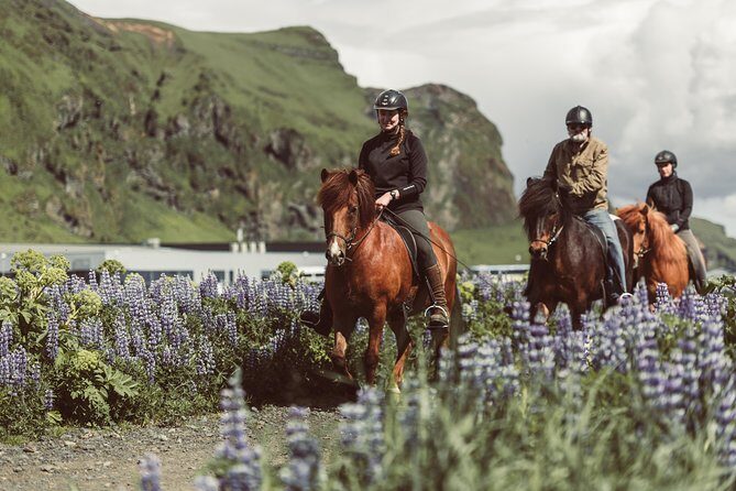 Black Sand Beach Horse Riding Tour from Vik - Introduction