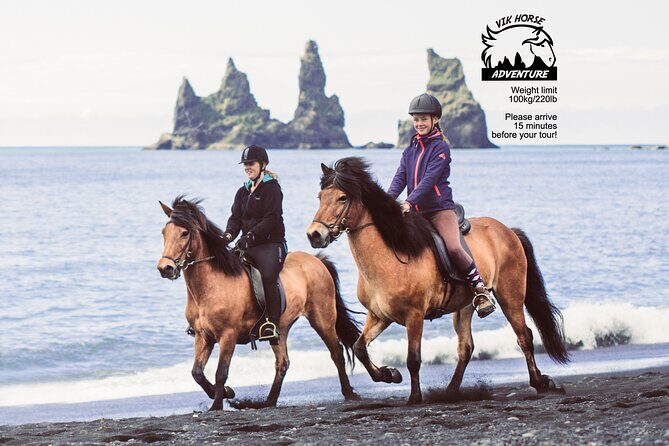 Black Sand Beach Horse Riding Tour from Vik - Key Points