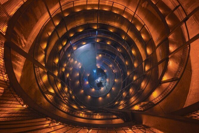 Black Water Rafting Experience Waitomo Caves Tour - What to Expect at Each Stop