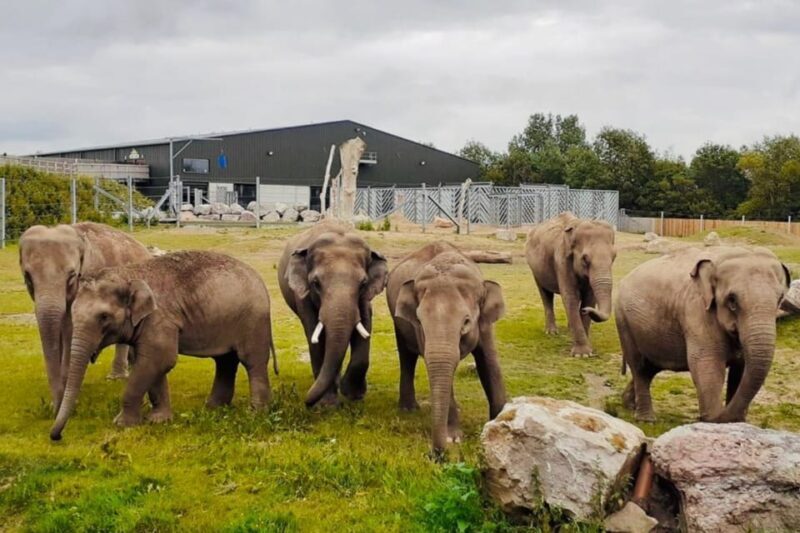 Blackpool: Zoo Admission Ticket - What to Expect at Blackpool Zoo