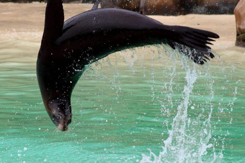 Blackpool: Zoo Admission Ticket - Who Will Love Blackpool Zoo?