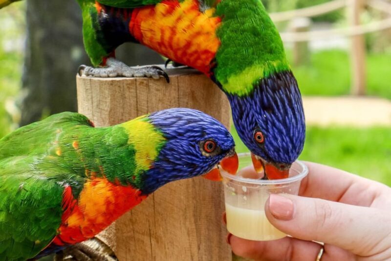 Blackpool: Zoo Admission Ticket - The Sum Up: Is Blackpool Zoo Worth It?