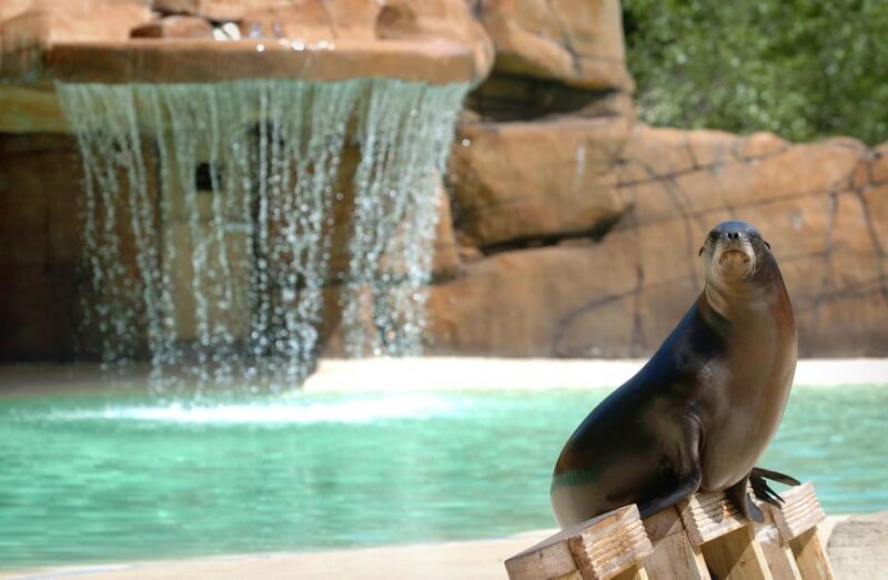 Blackpool: Zoo Admission Ticket - FAQ