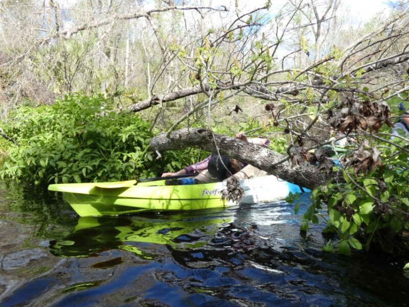 Blackwater Creek: Exclusive Nature Escape Kayak Adventure - Blackwater Creek: Exclusive Nature Escape Kayak Adventure