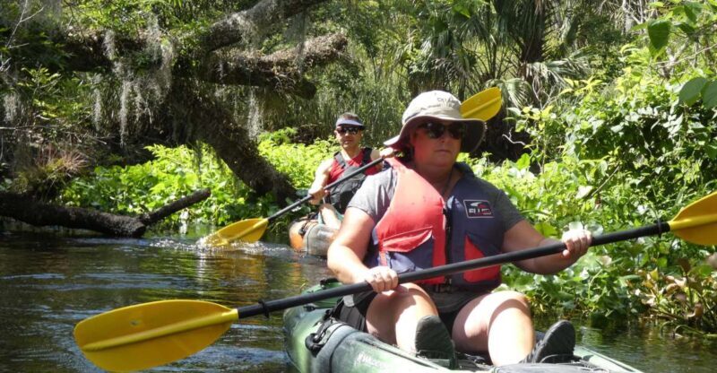 Blackwater Creek: Exclusive Nature Escape Kayak Adventure - Who Will Love This Tour?
