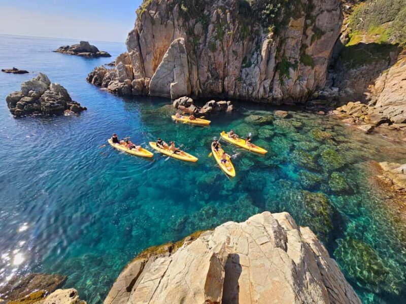Blanes: Kayak and Snorkel Tour with Guide - Is This Tour Worth It?