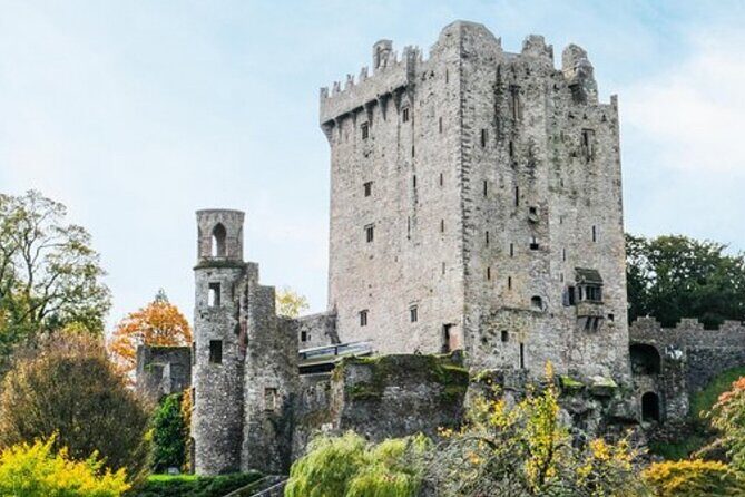 Blarney Castle and The Rock of Cashel with Private Chauffeur Tour - Final Thoughts: Who Will Appreciate This Tour?