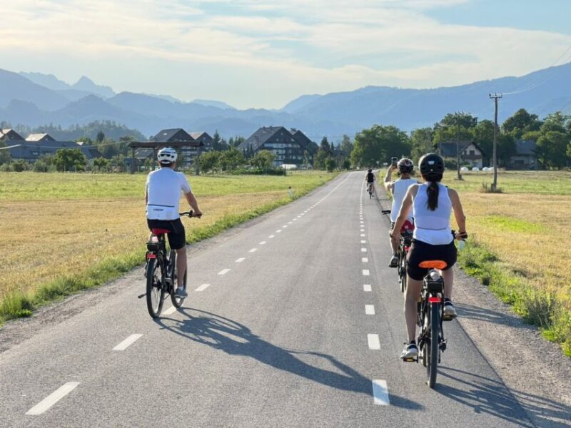 Bled: e-Bike Rental - Why Choose the Bled e-Bike Rental?