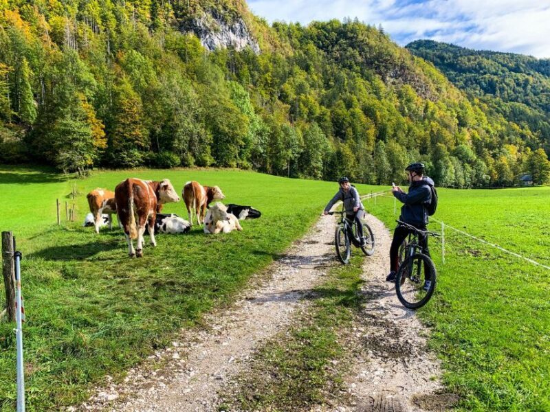Bled: EBike Tour Lake Bled & Triglav National Park Private - Key Points