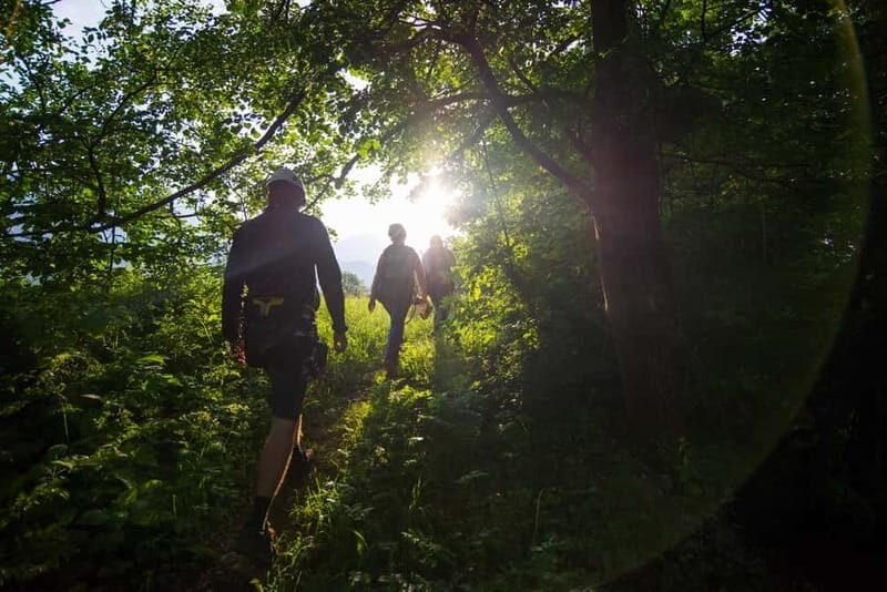 Bled: Europe's Longest Zipline Adventure over Dolinka River - Authentic Reviews and Insights