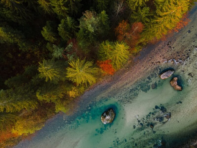 Bled: Sava River Kayaking Tour - Final Thoughts