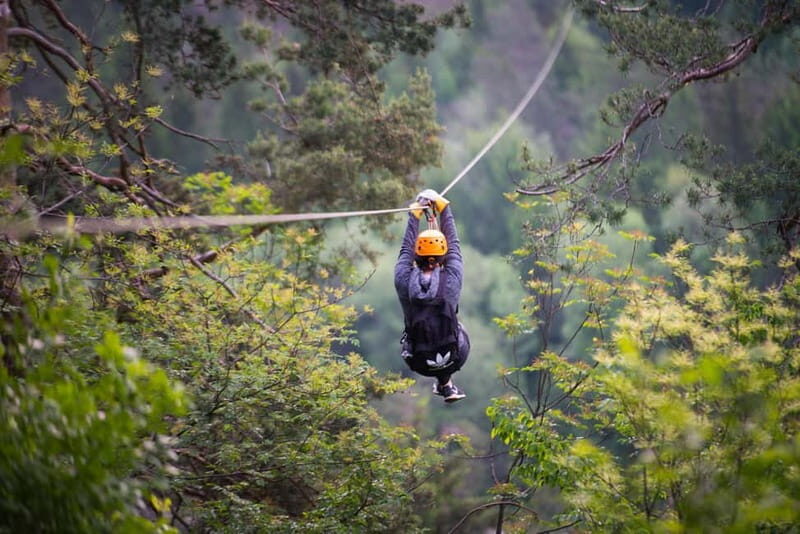 Bled: Zipline Dolinka Exclusive Private Tour - Key Points