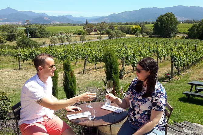 Blenheim Half day Wine Tour - Who Should Consider This Tour?