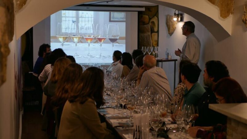 Blind Tasting in Seville - Authentic Insights from Reviews