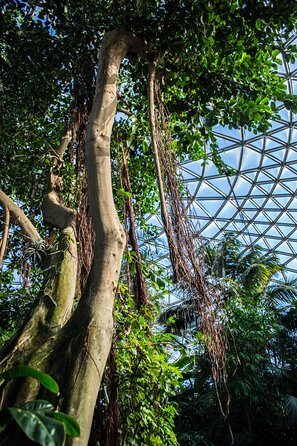 Bloedel Conservatory Admission Ticket - FAQ