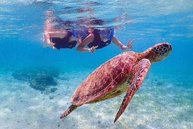 Bloo Lagoon Snorkeling East Bali Includes Transportation & Lunch - Exploring the Blue Lagoon Snorkeling Experience