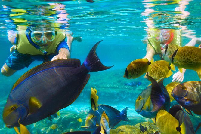 Bloo Lagoon Snorkeling East Bali Includes Transportation & Lunch - FAQs