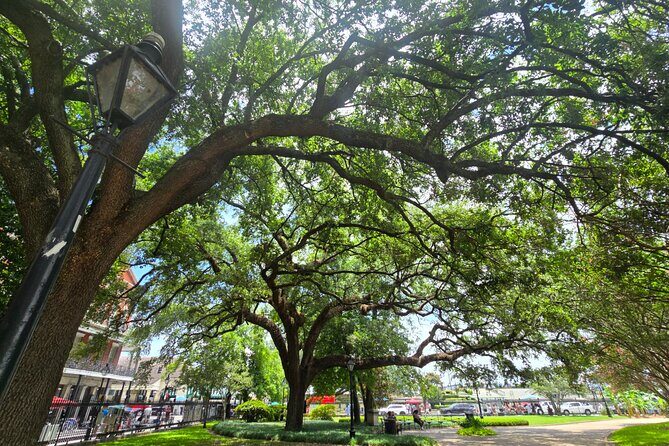 Blood and Brick: Macabre Histories of the French Quarter Tour - Why Blood and Brick Is a Good Choice