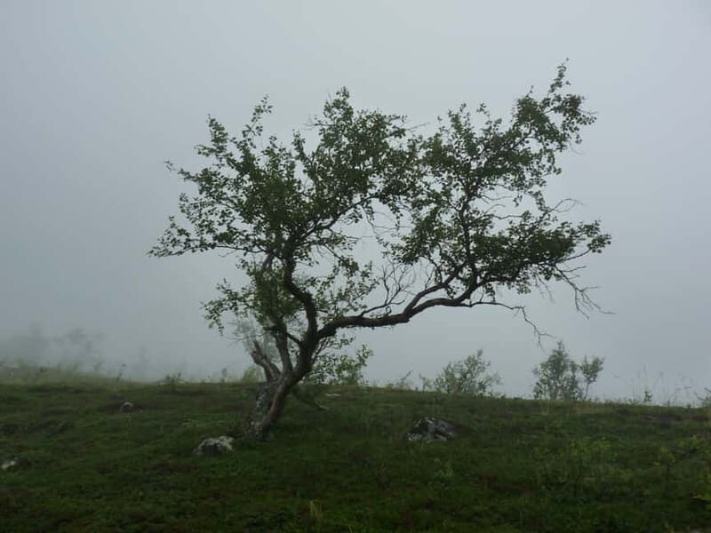 Bloody Stockholm: ghosts, horror and dark folklore 2h - Key Points