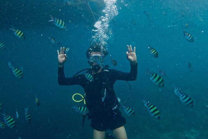 Blou lagoon snorkeling all incllusive - Key Points